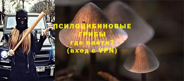 ECSTASY Баксан